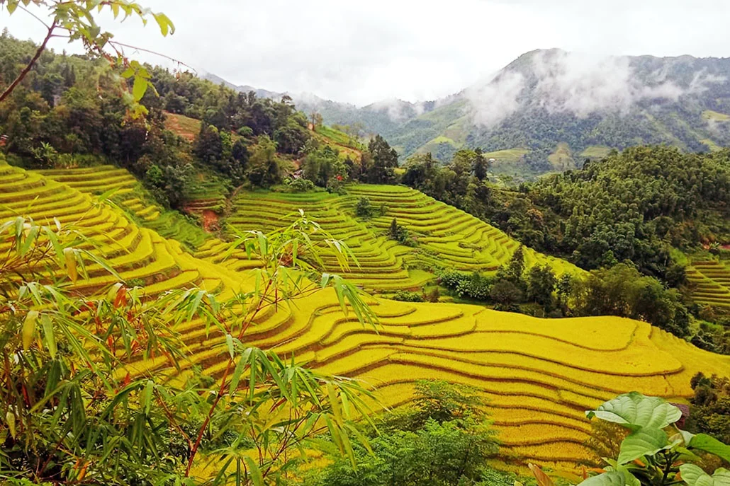 Ha Giang Vietnam Trekking 5 Day Itinerary